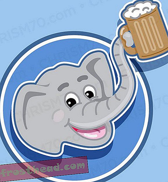 nouvelles intelligentes, nouvelles intelligentes arts et culture - Du café de merde d'éléphant vient de la bière de café de merde d'éléphant