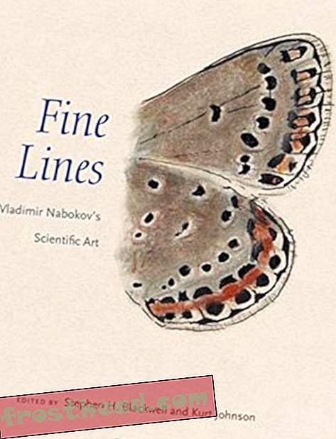 Vladimir Nabokovs sommerfugltegninger flyver i denne nye bog