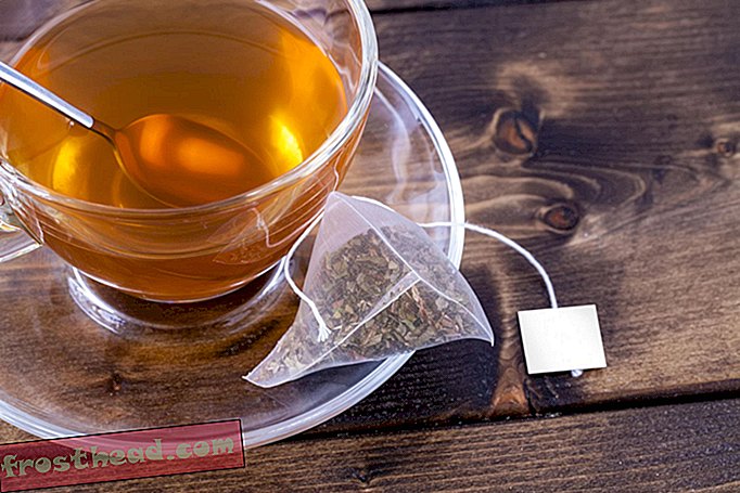 Noen gang lurt på hvem som oppfant teposen?