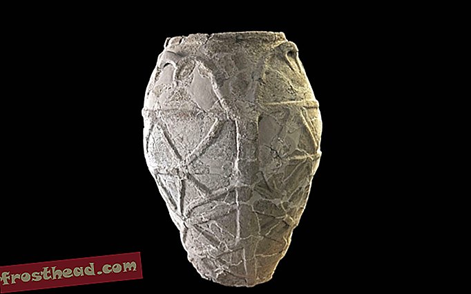 nouvelles intelligentes, histoire des nouvelles intelligentes et archéologie - Ce pot de 4 000 ans contient la plus vieille huile d'olive d'Italie