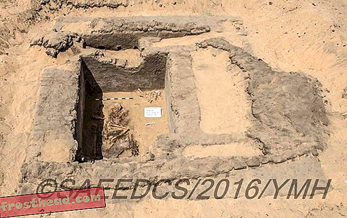 Na novo odkrite ruševine odkrivajo 7000 let staro mesto v Egiptu