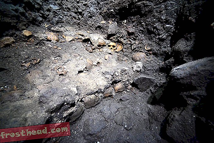 Ацтекската "Кула на черепа" съдържа останки от жени и деца