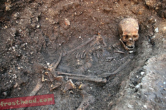 умные новости, умная история новостей и археология - 530 лет спустя Ричард III получает королевское перезахоронение