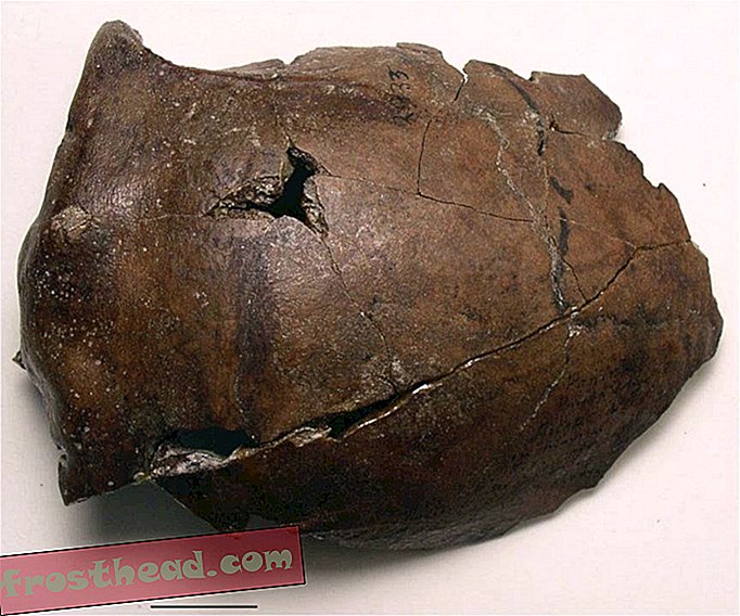 Ta starożytna czaszka mogła należeć do najstarszej na świecie ofiary tsunami