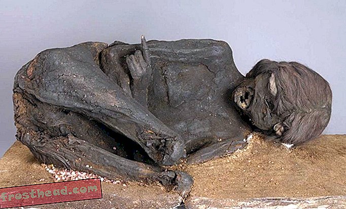 Tämän 500-vuotiaan muumion mysteeri on vasta alkamassa ratkaista