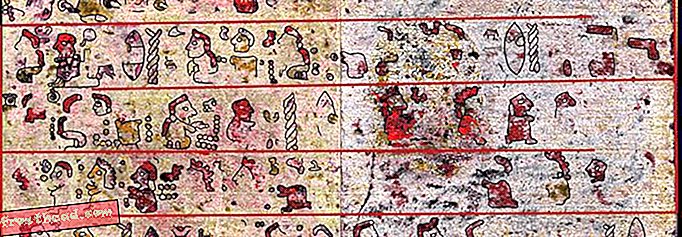 סריקה חושפת כתב יד מסו-אמריקני נדיר, בן 500 שנה