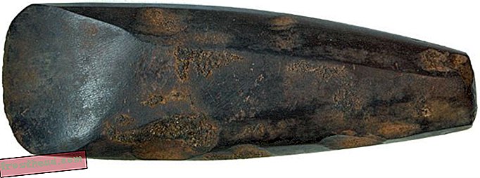 умные новости, умная история новостей и археология - Самый старый в Европе полированный топор найден в Ирландии