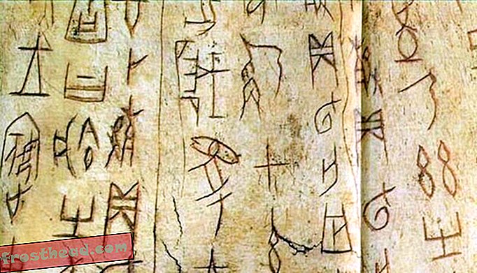 Museum tilbyr 15.000 dollar per tegn for å dechiffrere Oracle Bone Script