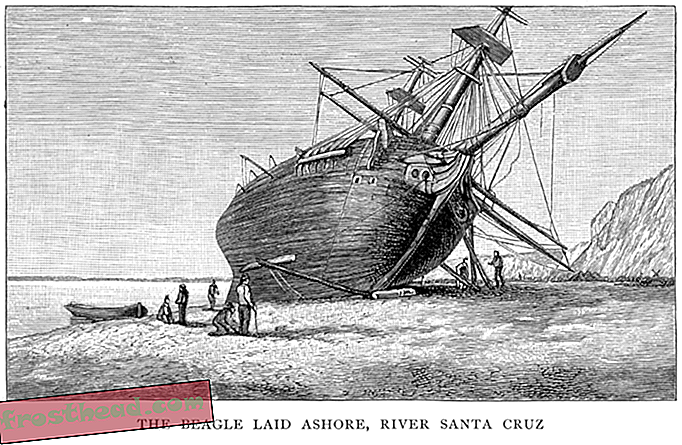 Les historiens recherchent des images des ancres du HMS Beagle
