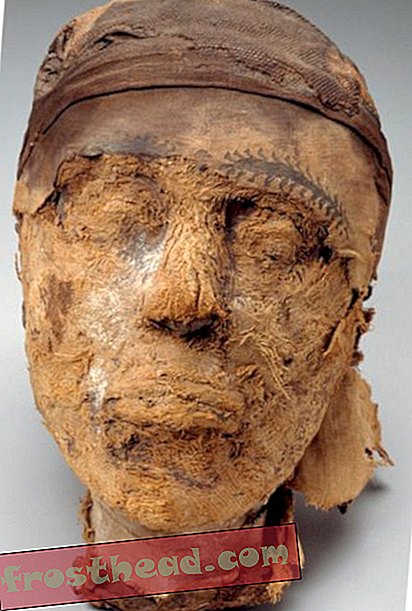 nouvelles intelligentes, histoire des nouvelles intelligentes et archéologie - Le FBI a aidé un musée à découvrir l'identité d'une tête coupée âgée de 4 000 ans