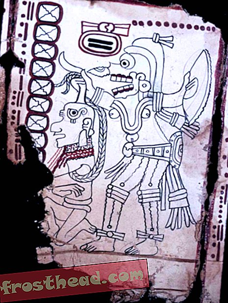 Une nouvelle analyse montre que le «Codex Grolier» contesté de Maya est la vraie affaire