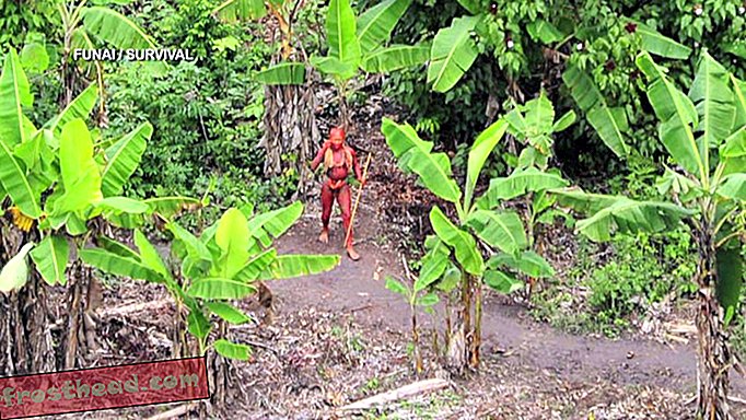 Brazil istražuje navodna ubojstva "nekontroliranih" pripadnika amazonskog plemena