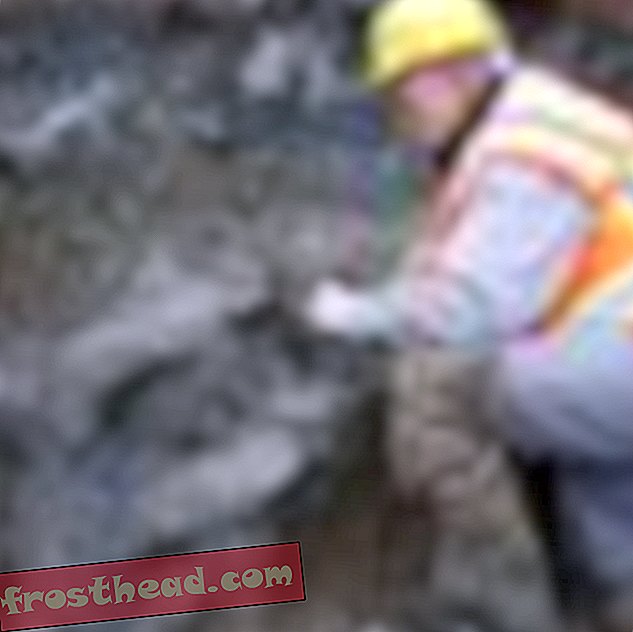 Rakennushenkilöstö löytää Mammoth-luut Oregonin jalkapallostadionin alla