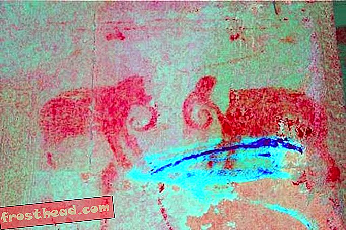Mehr als 200 versteckte Gemälde wurden an den Wänden von Angkor Wat entdeckt