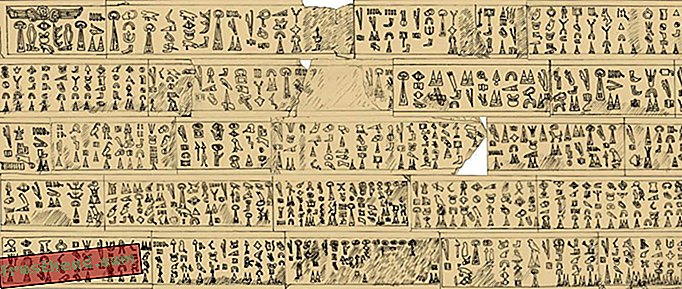 Scholar Deciphers 3200 -vuotias kirjoitus, joka saattaisi valaista ”merikansoille”