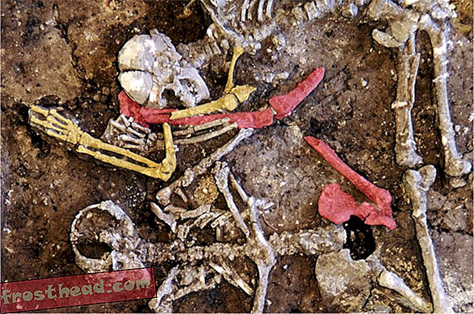חדשות חכמות, היסטוריה וארכיאולוגיה של חדשות חכמות, מדע חדשות חכמות - קבר גרמני בן 7,000 שנה מראה צד חדש של האכזריות הניאוליתית