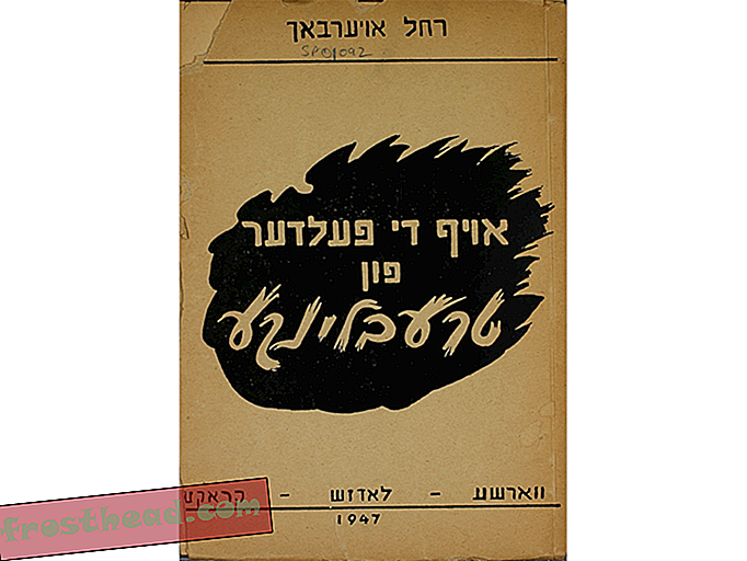 Ensimmäinen painos Oyf di Felder fun Treblinke (Treblinka-kentässä), kirjoittanut Rachel Auerbach, 1947, Wiener Library Collection .jpg