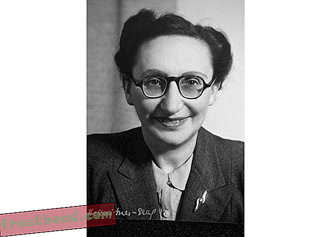 Eva Reichmann c.1950, joka käynnisti yhden varhaisimmista hankkeista kerätä todistajien todistajanlausuntoja holokaustista, Wiener Library Collections.jpg