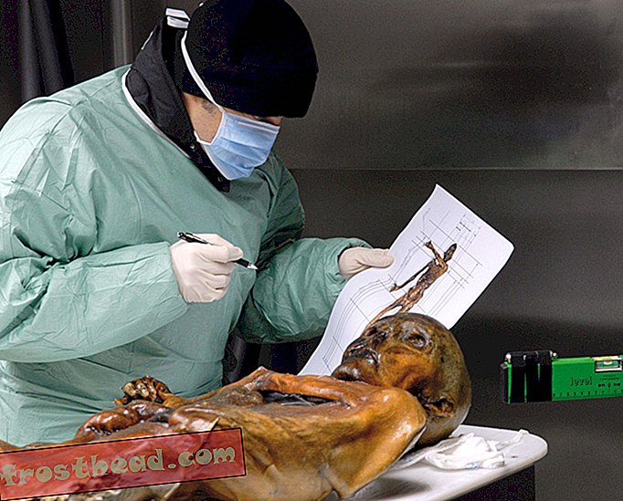 nutikad uudised, nutikad uudiste ajalugu ja arheoloogia, nutikad uudisteadused - Mida näitavad Ötzi Jäämehe tätoveeringud vaskpikkuse meditsiinipraktikatest