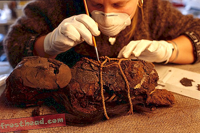 Redning af verdens ældste mumier fra rot i en varmere, Wetter-verden
