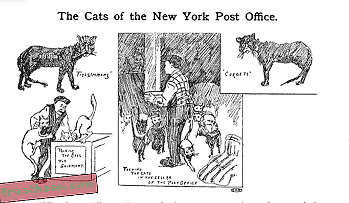 Taiteilijan luovutukset 1890-luvun New Yorkin postikissat.