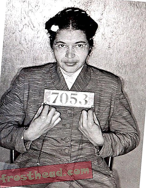 Einundsechzig Jahre, nachdem Rosa Parks in Montgomery Platz genommen hatte, lebt der Protest in Amerika