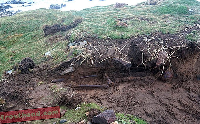 तूफान ओफेलिया ने आयरलैंड में एक प्राचीन कंकाल का पता लगाया