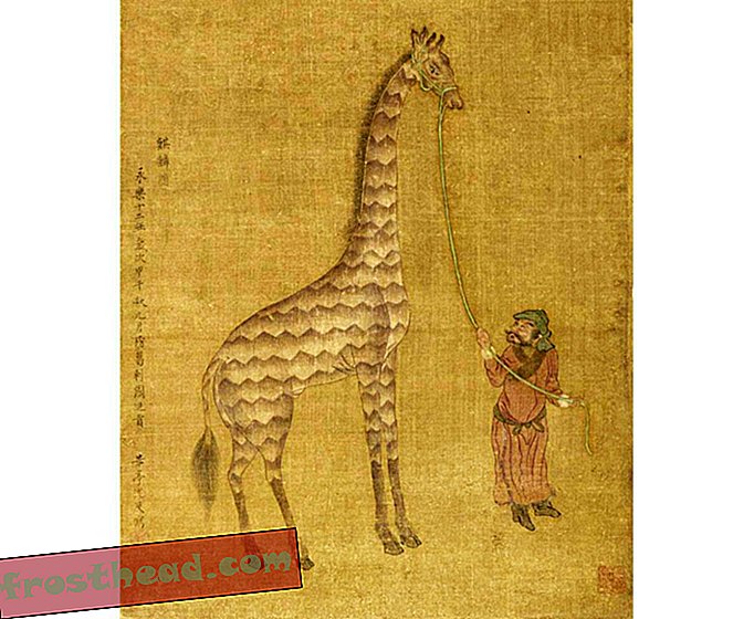 1400s चीन में जिराफ की अजीब कहानी