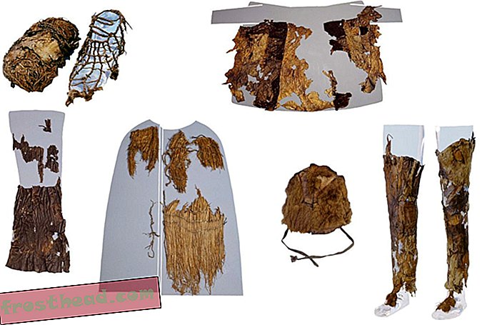 Analiza DNK razkriva, kaj je Ötzi ledenec nosil na svojem grobu