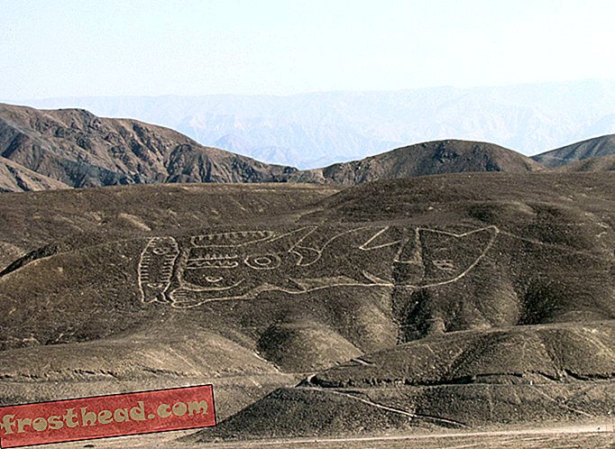 nouvelles intelligentes, histoire des nouvelles intelligentes et archéologie - Un géoglyphe d'orque antique retrouvé au Pérou