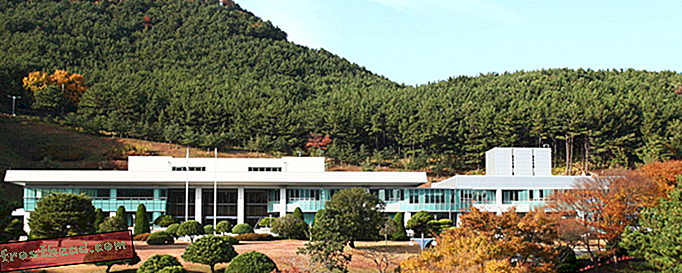 Zašto je Državni arhiv Južne Koreje iskorijenio 12 japanskih drveća