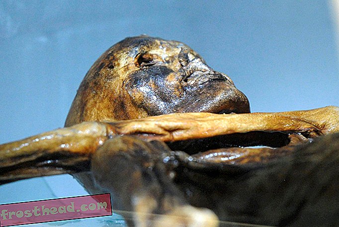 nutikad uudised, nutikad uudiste ajalugu ja arheoloogia - 5300-aastase “Jäämehe” Ötzi 61 tätoveeringut