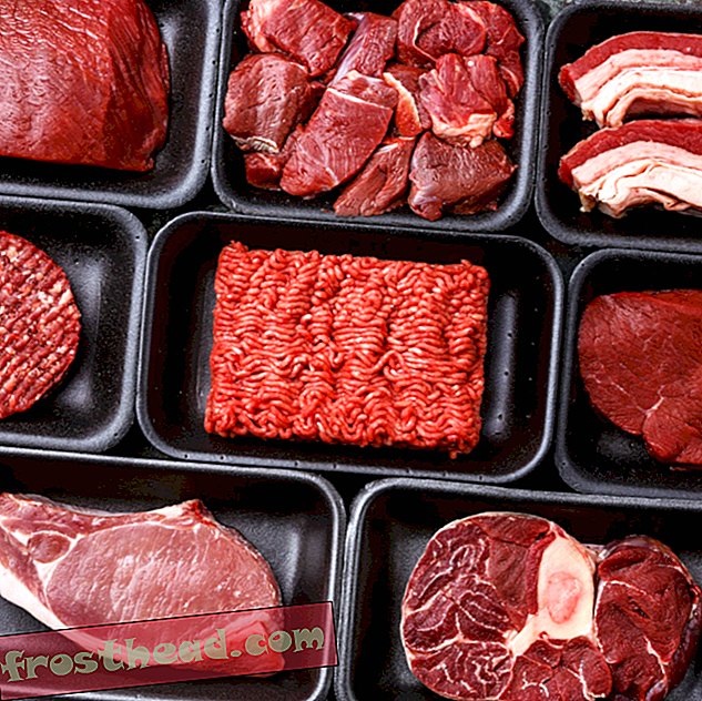 מחקר חדש משליך את הערך התזונתי של בשר אנושי