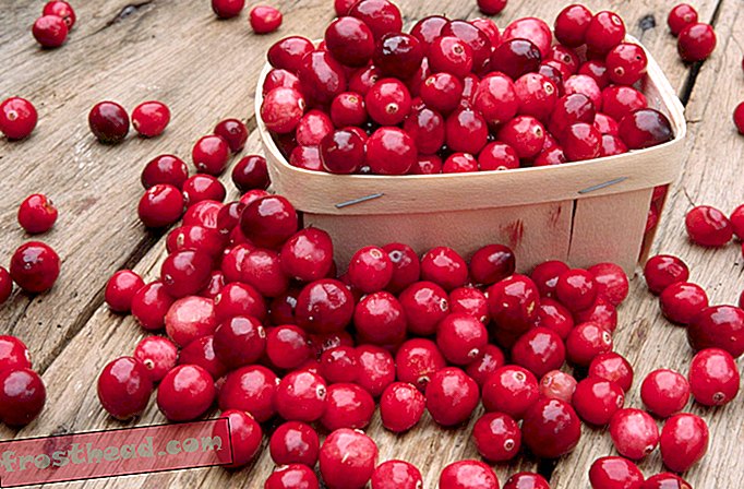 Eine kurze Geschichte der Cranberries