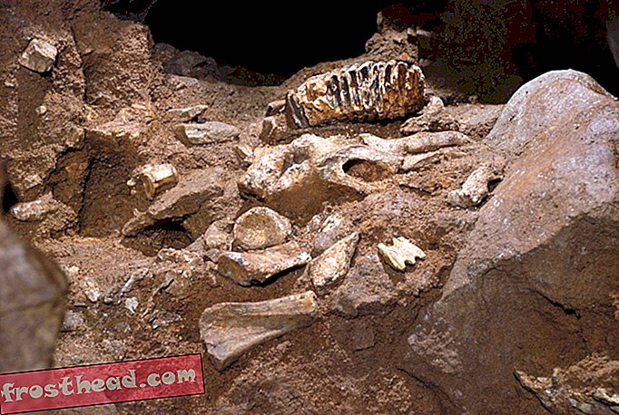 Веднъж ограбена от крадци, Древната пещера се открива отново с 3-D реплики на откраднати вкаменелости