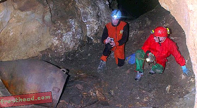 Forscher entdecken den ältesten Wein Italiens in der sizilianischen Höhle