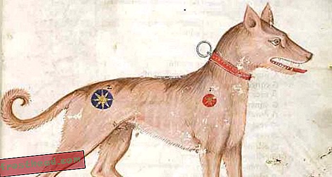 Dalam Masa Abad Pertengahan, Nama-nama Dog Popular Termasuk Little Hammer, Fortuna dan Bo