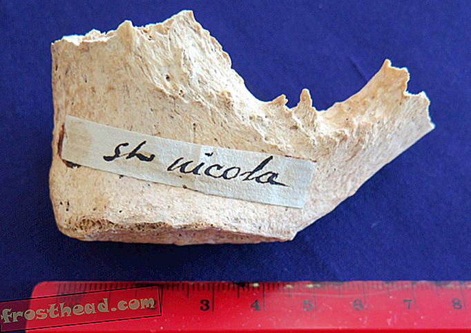 noticias inteligentes, historia de noticias inteligentes y arqueología - ¿Es el hueso de la pelvis de San Nicolás?