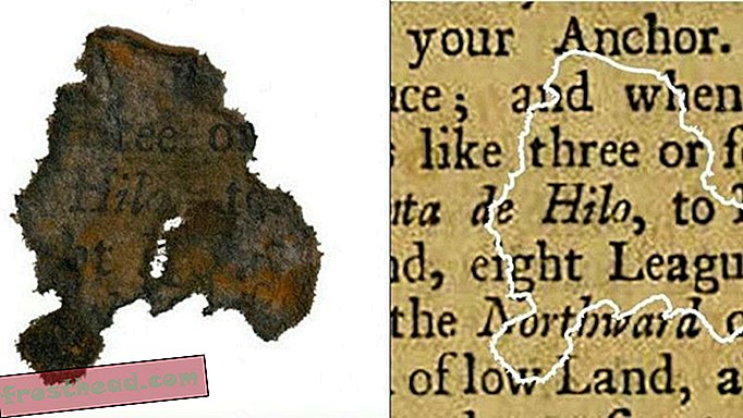 Trozos raros de papel desenterrados en el lodo del famoso barco pirata