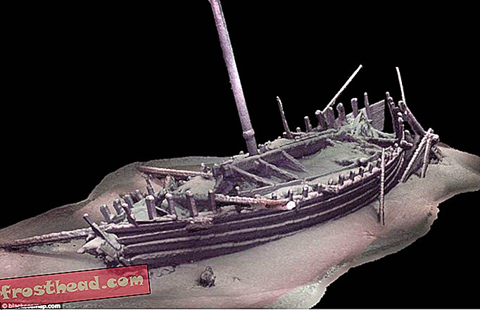 știri inteligente, istorie și arheologie de știri inteligente - Nave antice păstrate în mod excepțional descoperite în Marea Neagră