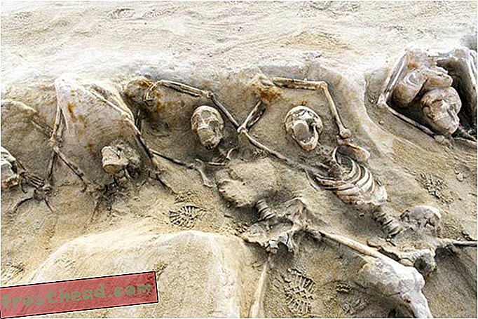 Kajdany szkielety odkryte w Grecji mogą pozostać po uboju buntowników-inteligentne wiadomości, inteligentne wiadomości, historia i archeologia