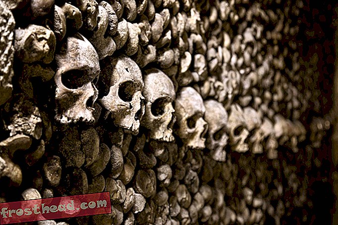 Questo Halloween, chi vuole passare una notte nelle catacombe di Parigi?
