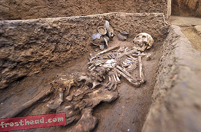 pametne vijesti, pametna povijest vijesti i arheologija - Groblje "divova" pronađeno u Kini