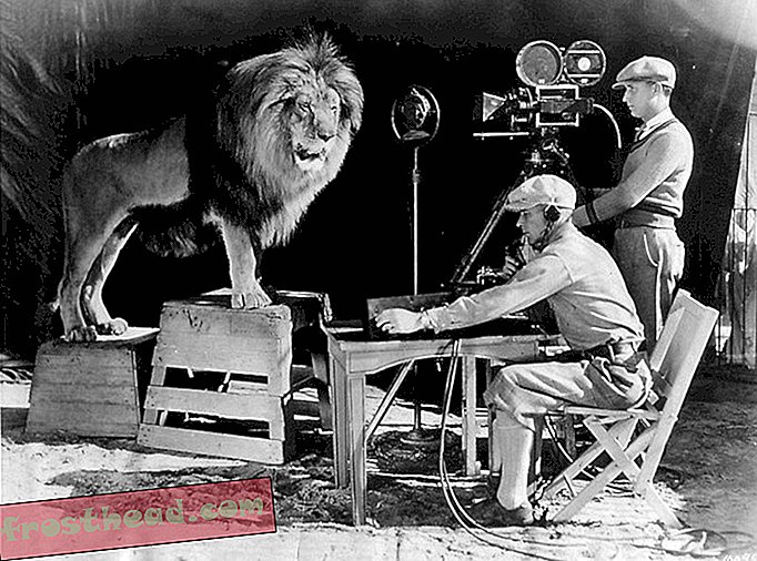 notizie intelligenti, notizie e archeologia intelligenti, idee e innovazioni intelligenti - La storia del leone più famoso di Hollywood