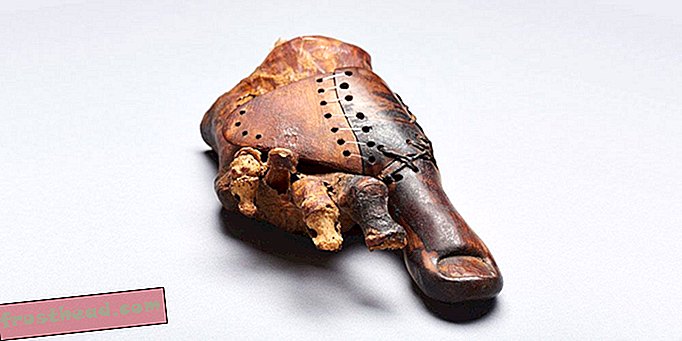 älykkäät uutiset, fiksut uutiset ja historia - Tämä 3000 vuotta vanha puinen varvas osoittaa proteesin varhaista taidetta