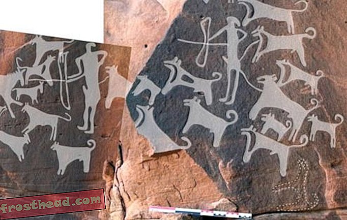 nouvelles intelligentes, histoire et archéologie intelligentes, sciences de l'information inte - Cet art rupestre pourrait être la plus ancienne représentation de chiens