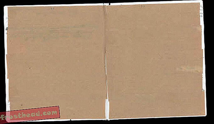 Изследователите дешифрират две скрити страници от дневника на Ан Франк