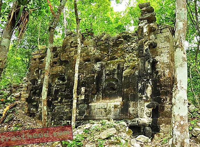Două orașe Maya găsite în Jungla Mexicană