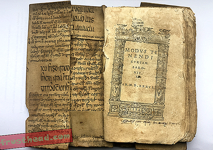 Keskaja araabia meditsiiniline tekst tõlgiti iiri keelde, näitab avastus