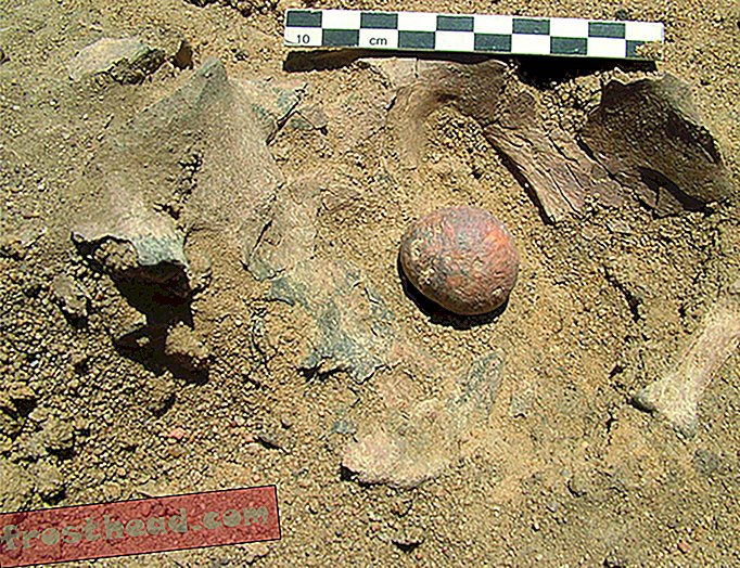 Αυτές οι 12.000-χρονών πάλλες του προστάτη πιθανότατα οδήγησαν σε έναν οδυνηρό θάνατο ενός προϊστορικού άνδρα